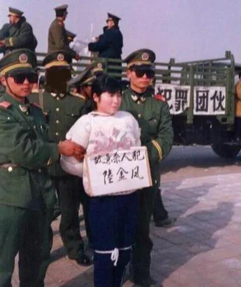 1995年陆金凤被执行死刑。

他自幼丧父，在那个重男轻女的时代，她的降生就是被
