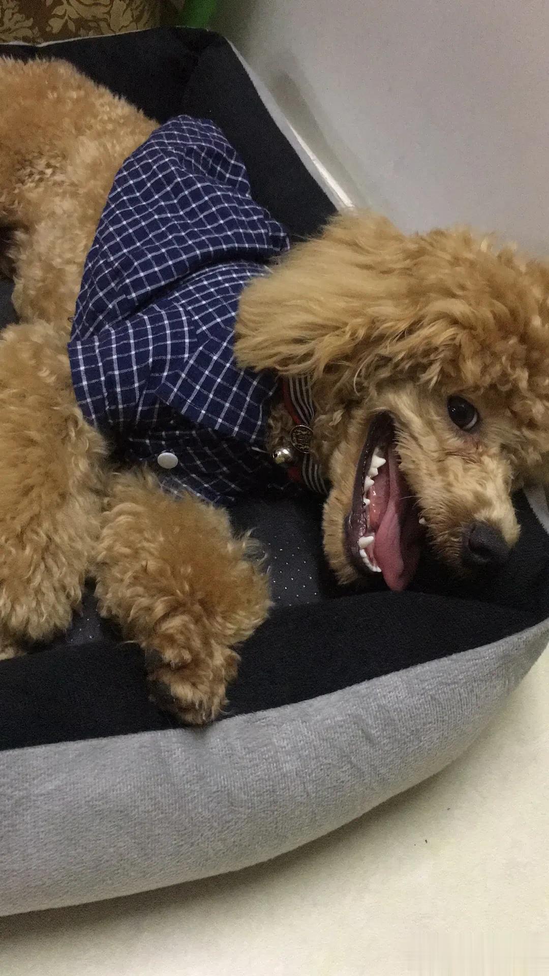 友友们每天都要有个好心情