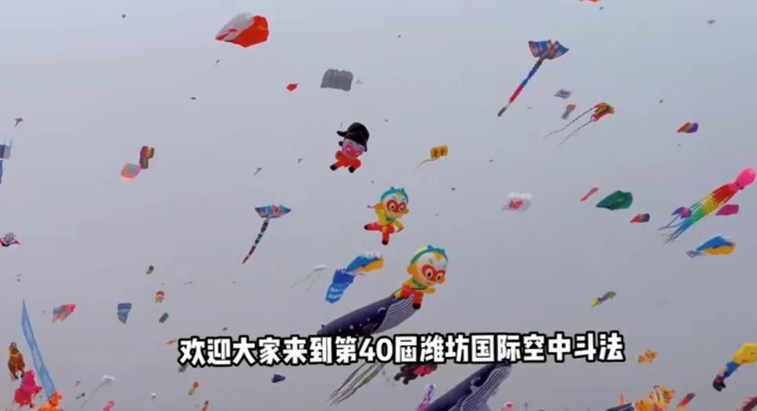 东方甄选YoYo社交媒体平台发文：在俺们潍坊疯筝节，没有什么东西上不了天

粉丝