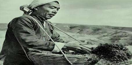 1976年，副总理陈永贵找到华国锋，说道：千万别让邓小平复出
 
邓小平作为我国