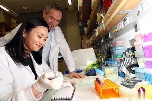 【新加坡医学界获得重大突破，人体肾脏肝脏等多器官可以实现自行修复 】

据新加坡