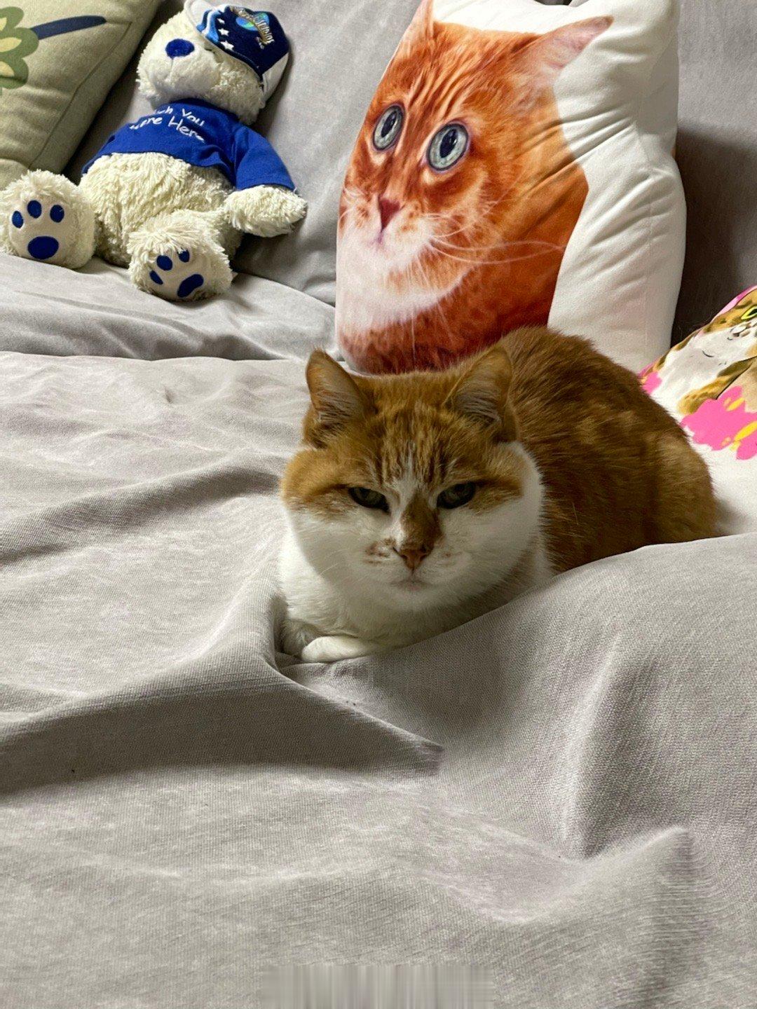  “你还晓得回来！” 不是我就刚出去吃了个饭啊！ ​​​