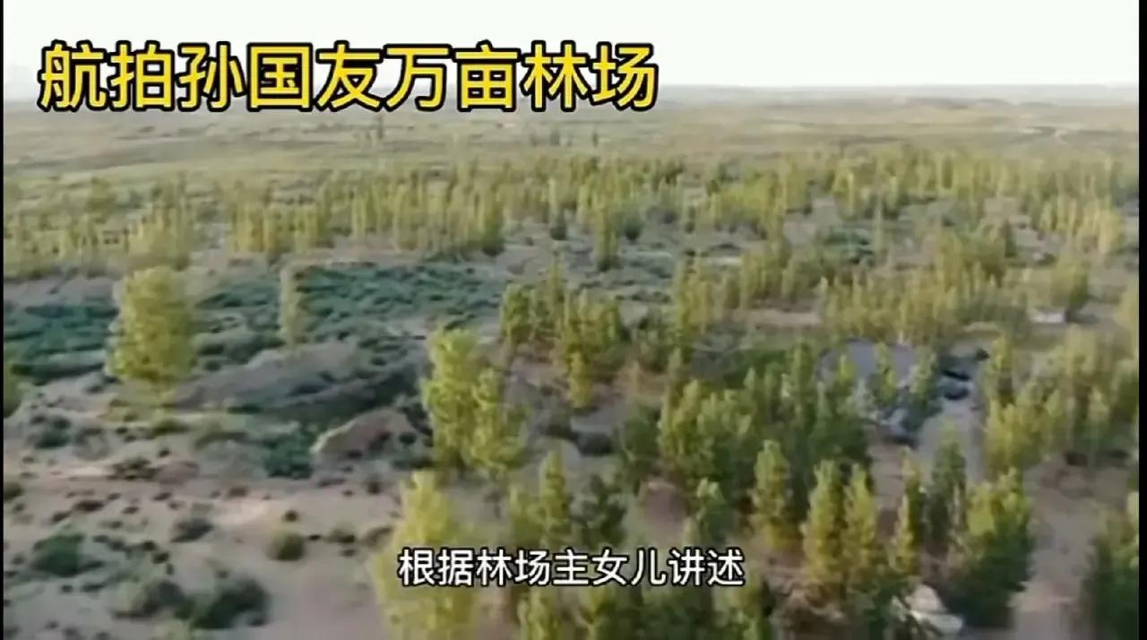 变味了，也太伤人心了。

今天看到一个视频：一个宁夏本地大妈，指责孙国友种树是破