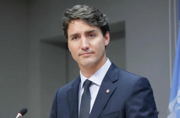 特鲁多胜选后，反对派认为中国干预了加拿大选举，令反华特鲁多当选总理，要求彻查。

