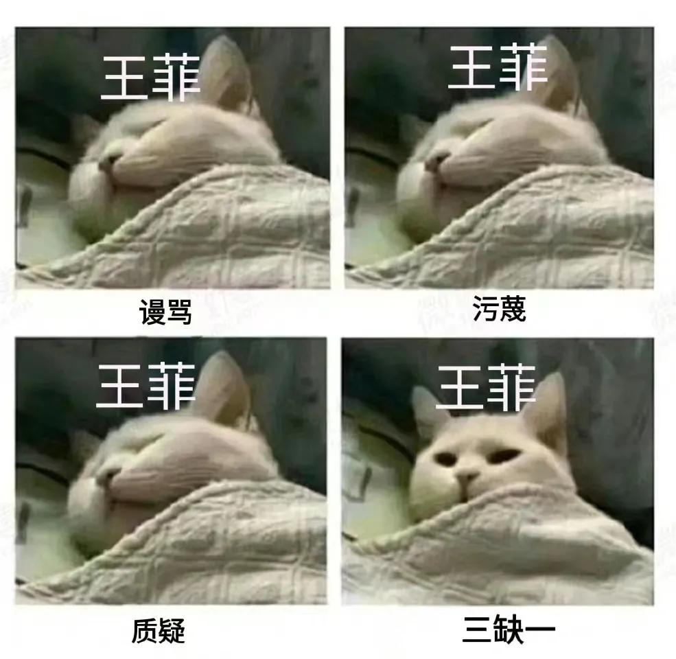 这就是王菲！王菲属实是他们那圈里牌技最差的，人菜瘾又大的那种，哈哈哈哈！