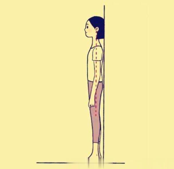 【靠墙站怎么瘦】晚饭后半个小时