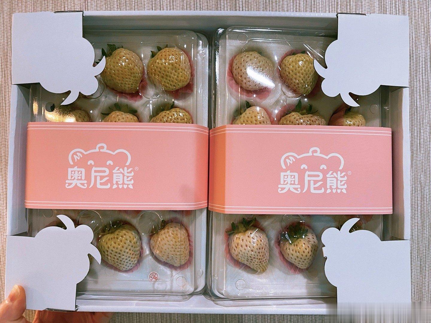 今天，有人送了我一只熊！草莓味