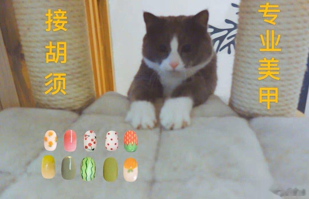 小猫咪美甲站🈺 ​​​