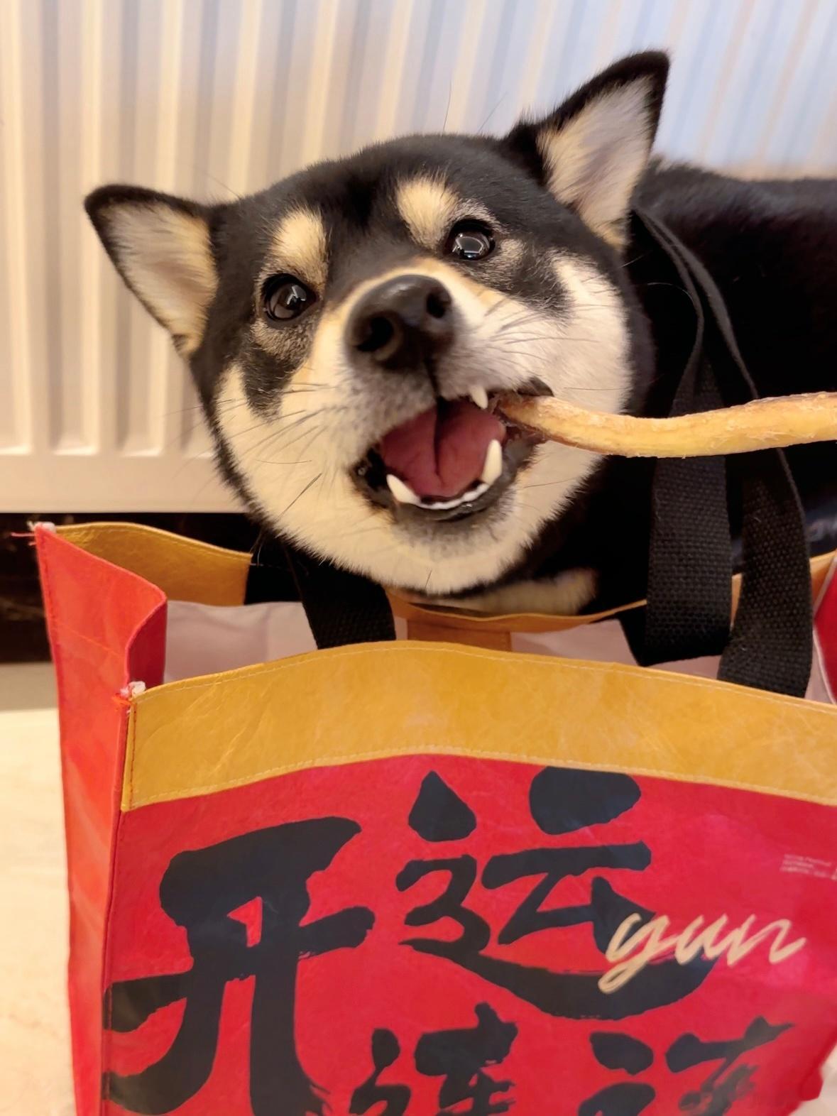 新鲜的小窝 ​​​