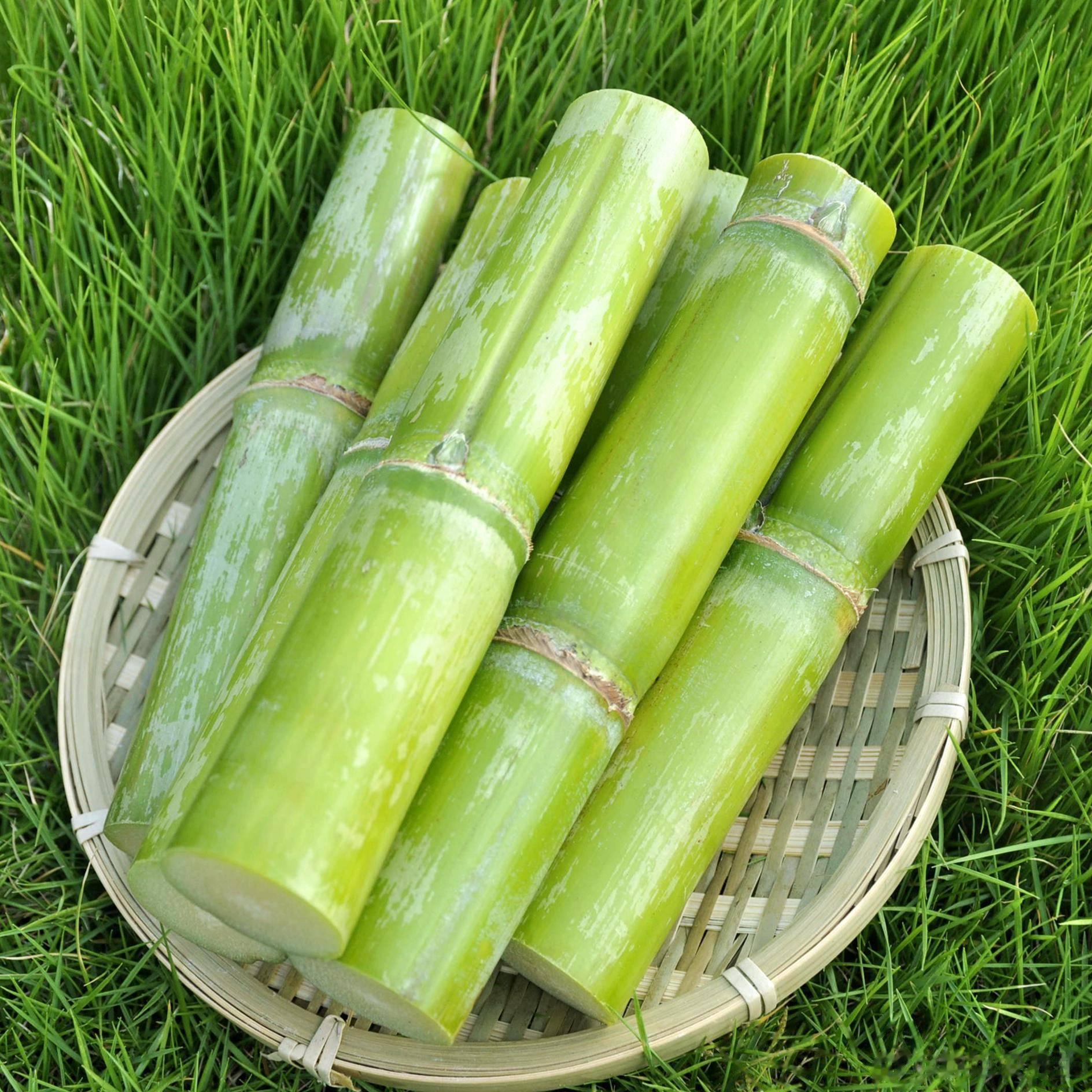 春节不打烊[發][發]​陶山甘