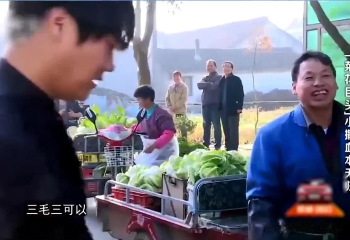 央视支持人撒贝宁卖花菜倒贴一千多块钱[捂脸][捂脸][捂脸]撒贝宁倒贴钱助农，同