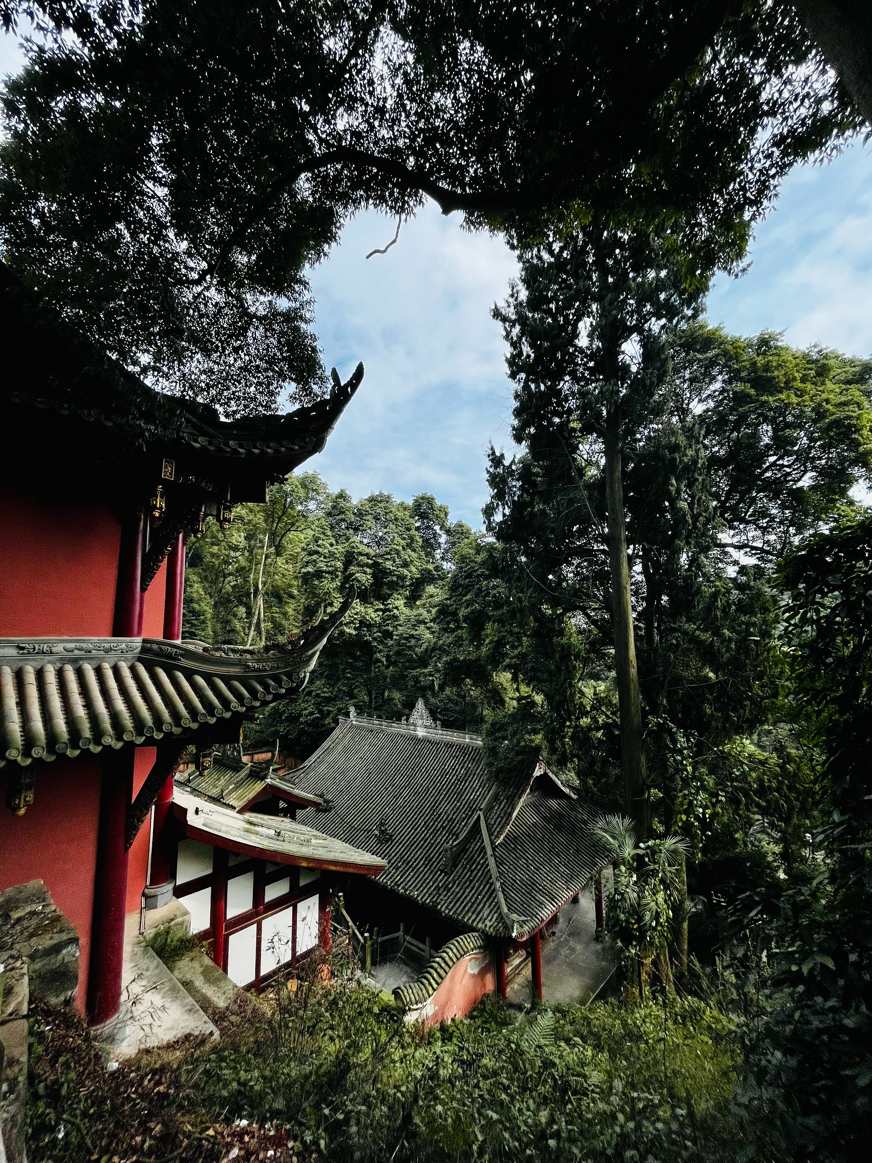 空山遇古寺 ​​​
