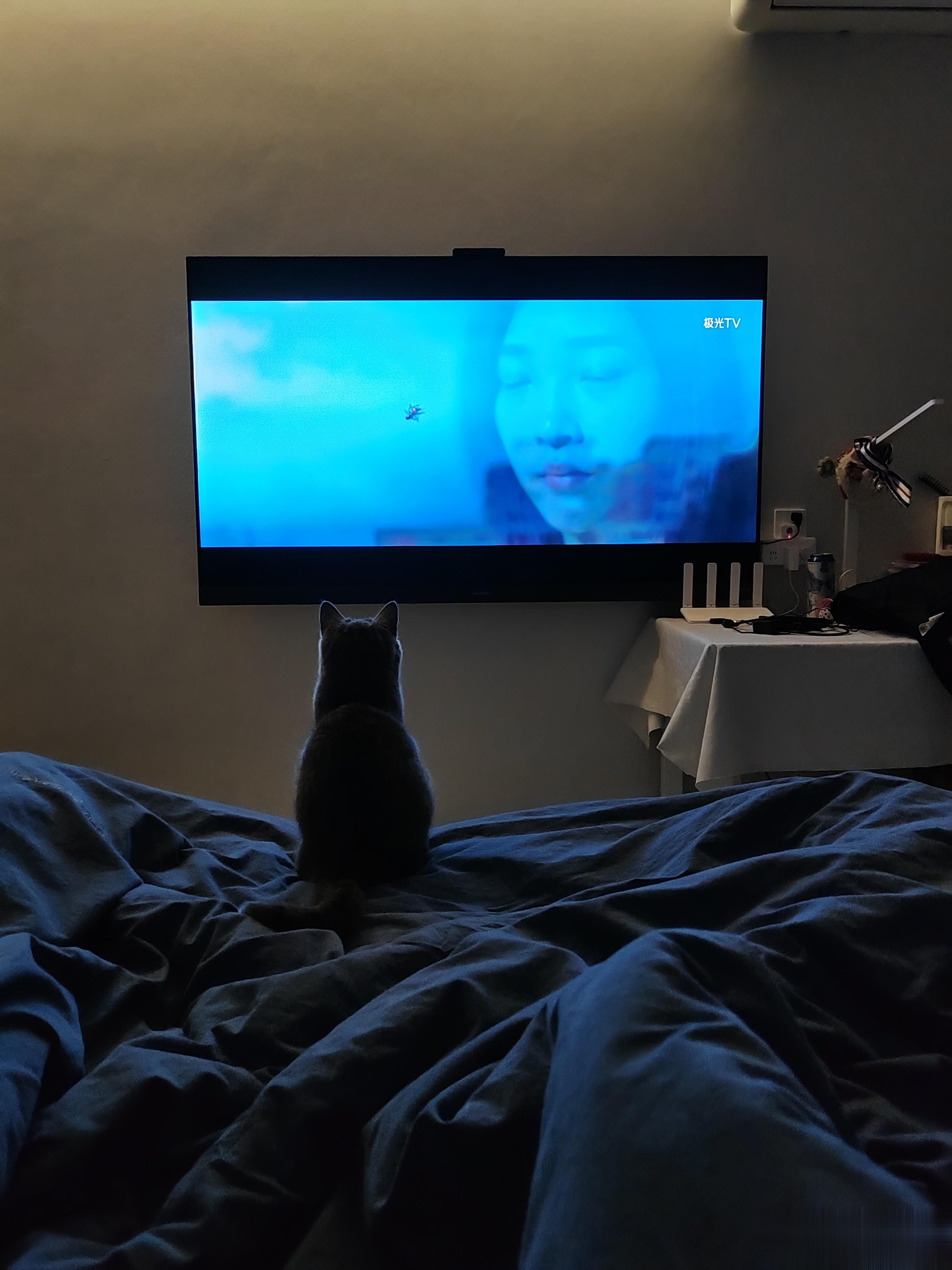 你家的猫爱看电视吗[笑而不语]