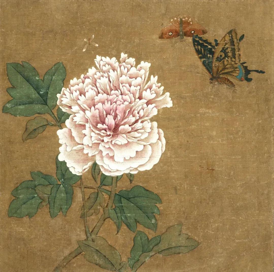 【元·沈孟坚《牡丹蝴蝶图》】
《牡丹蝴蝶图》页，元，沈孟坚，绢本设色，26.9×