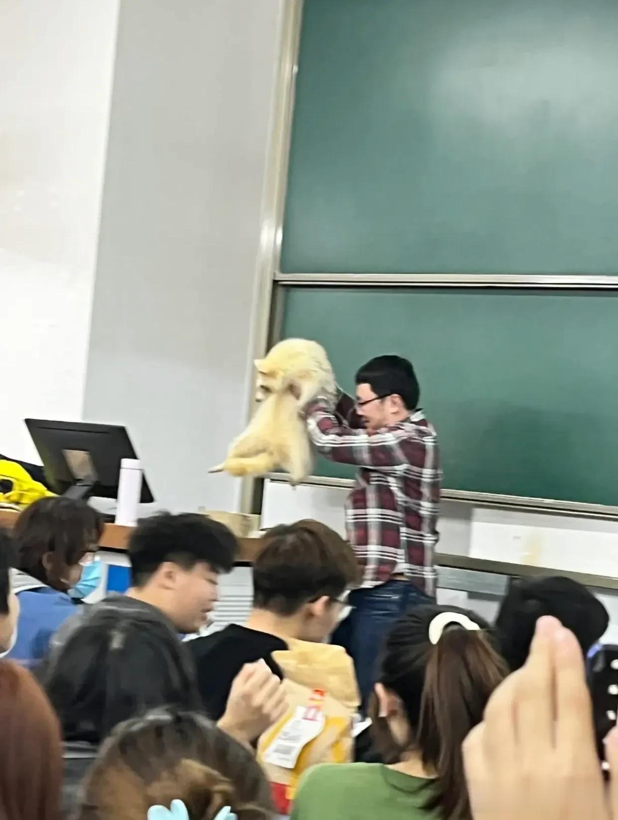 这是什么神仙学校啊，课堂上还能抱浣熊！！！
在萌宠课上老师请来了可爱的浣熊 
还