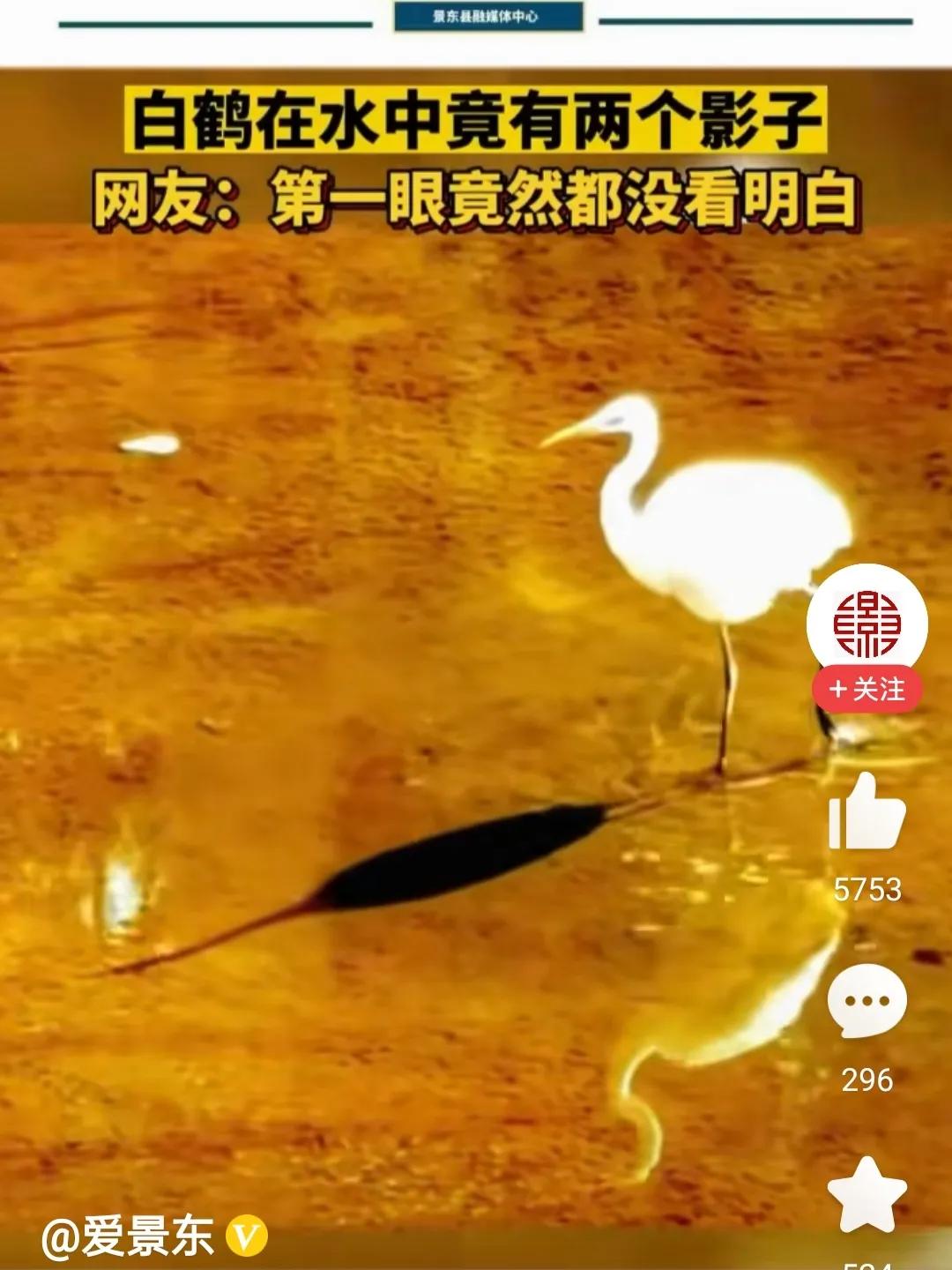大自然就是这么奇妙。

本来独