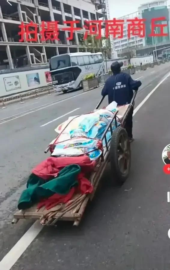 “真是讽刺人啊”！河南商丘所颁发的一纸禁令瞬间让人回到了八九十年代。

看到河南