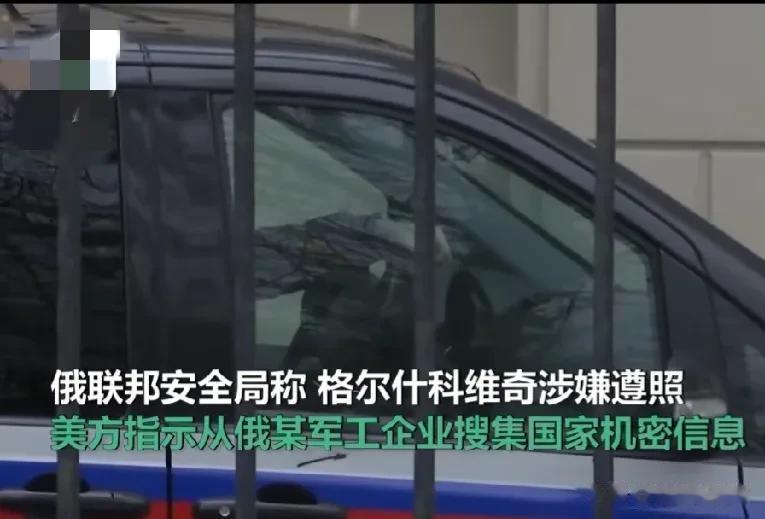  俄美互抓对方的间谍并不新鲜了，过去多年也有过多次了类似事件发生。但此次正值俄乌