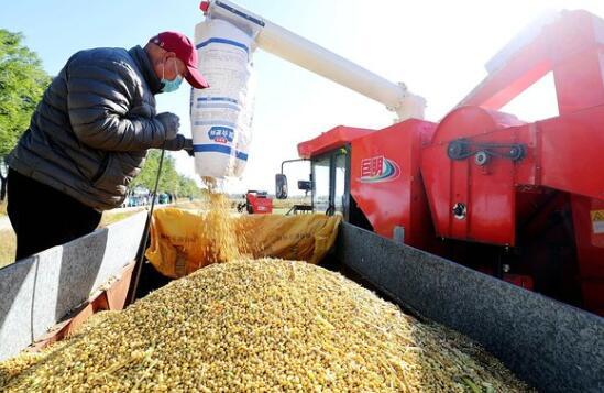 国外网友羡慕中国粮食储备量高，全球减产背景下希望共享这些储备。
在国外社交媒体上