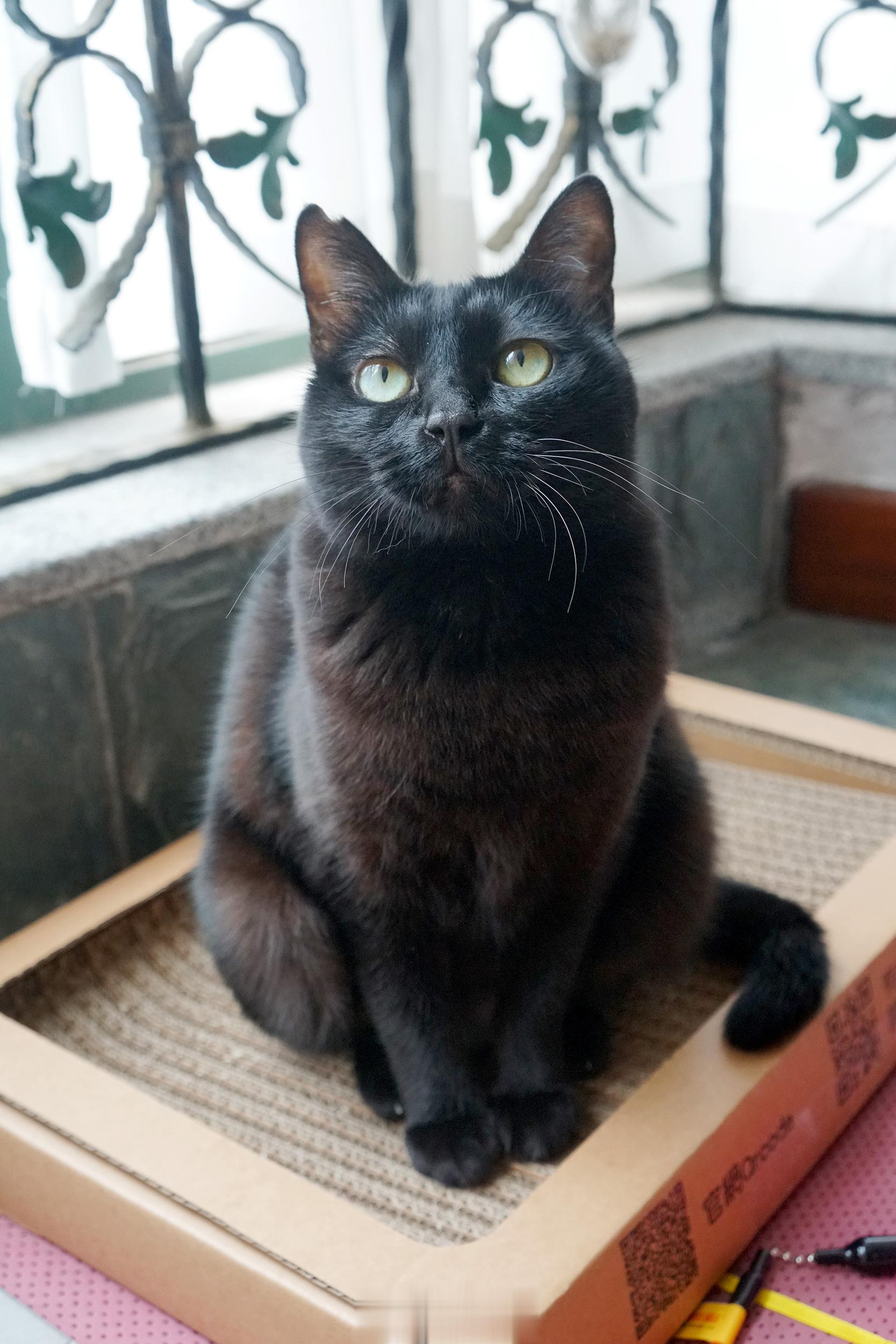 雖然鼻孔有點大，但還是志玲～ ​​​