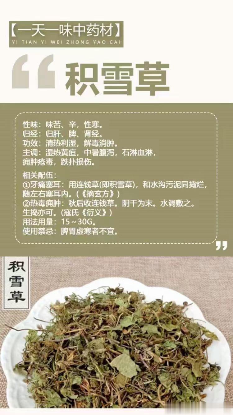 #国医的精诚力量##每天一味中草药# 🌿【一天一味中药材】🌿        