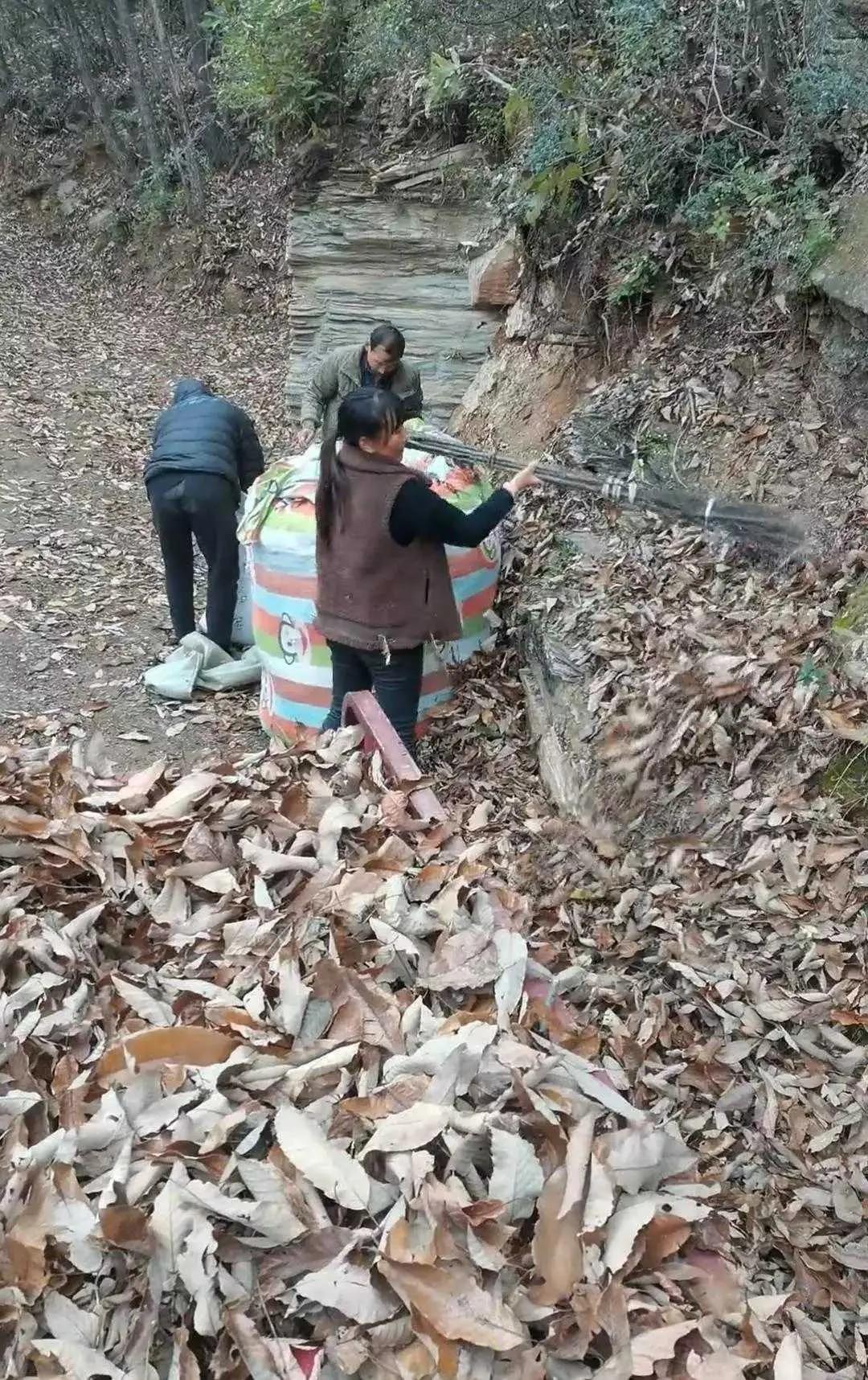 有人说，这个还需要打扫吗？。 