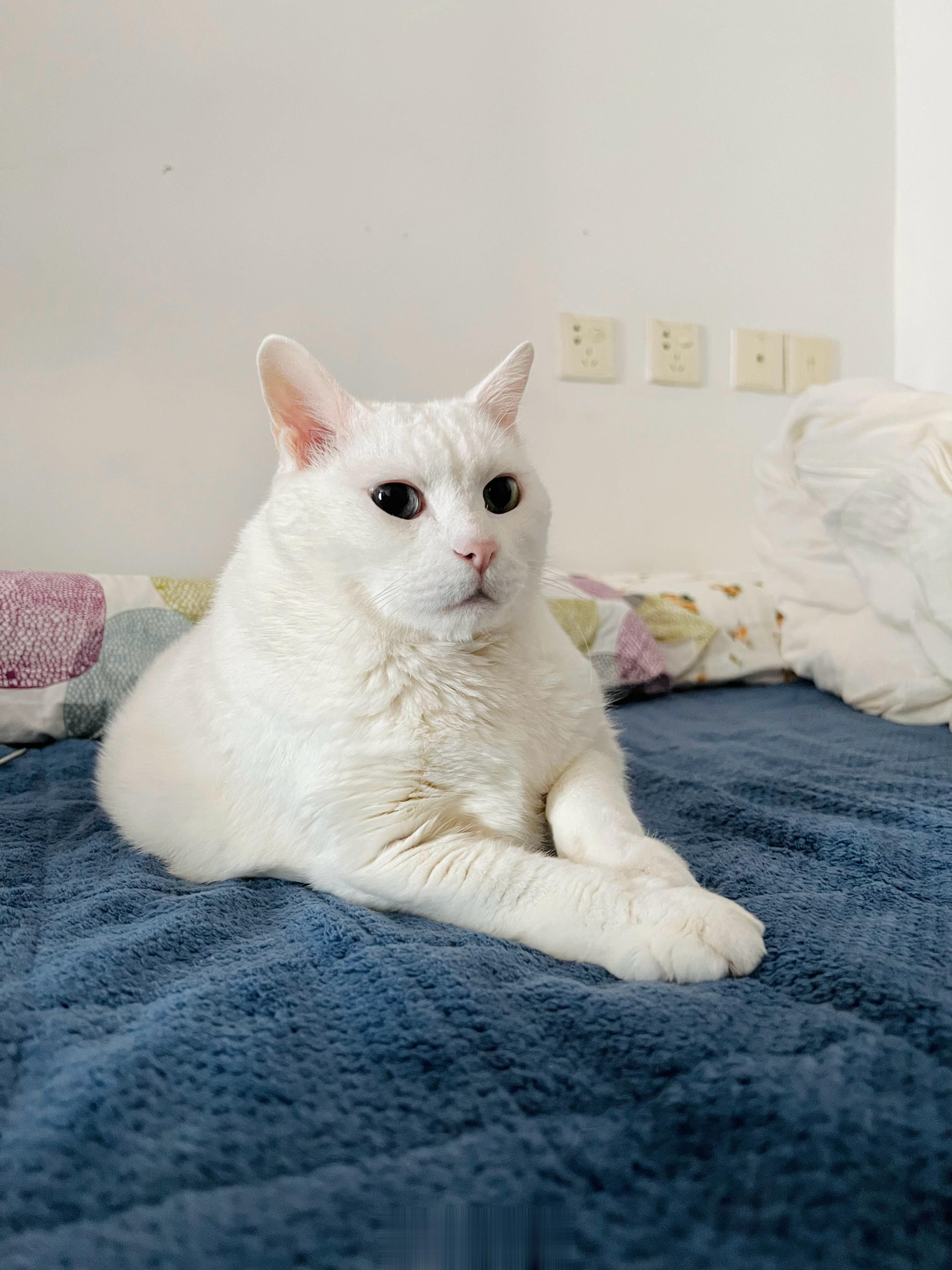 右臉、左臉、正面都給你們看惹～ ​​​