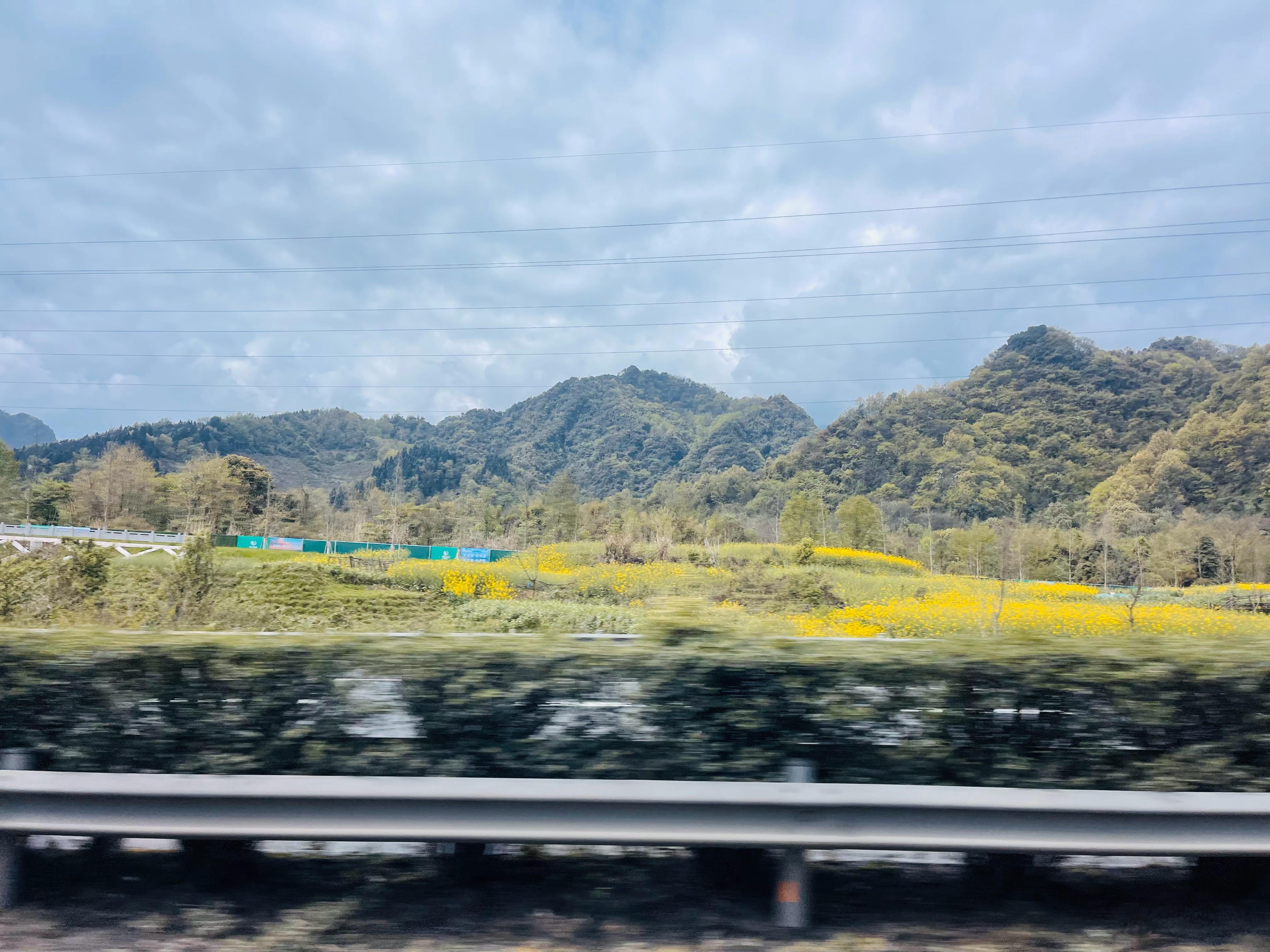 青城山 #大运会里的四川元素# 在路上看到的。距离都江堰应该也不远了。中午到映秀
