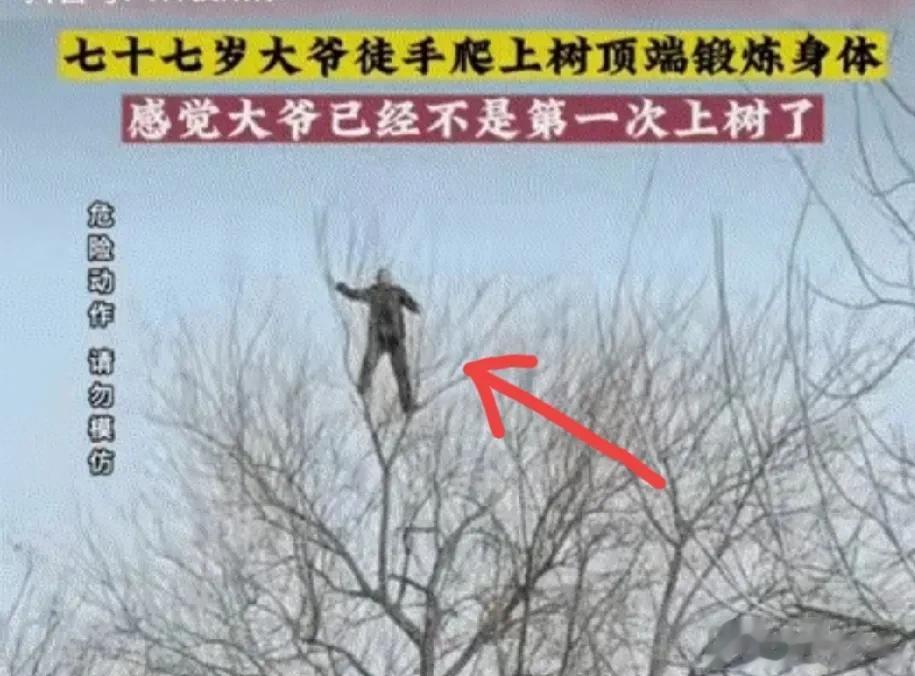 树欲静，而大爷不止[泪奔]站在树梢上的77岁大爷，比“接化发”马保国可强多了。这
