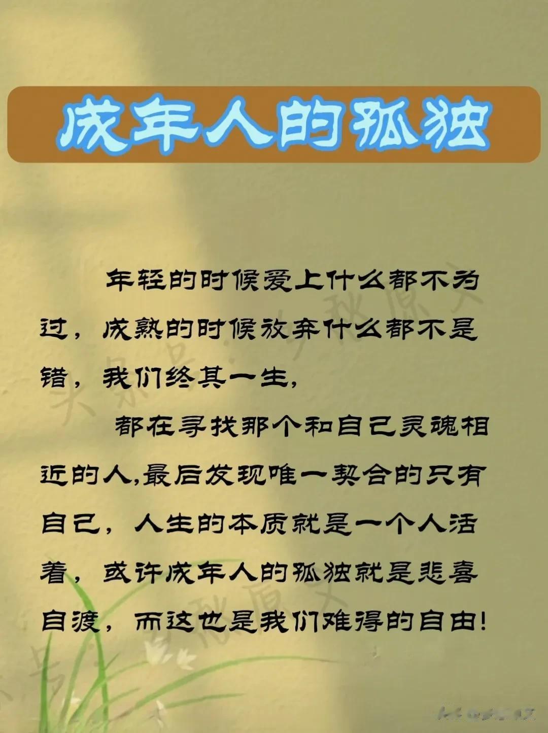 成年人的孤独，难得的自由！ 