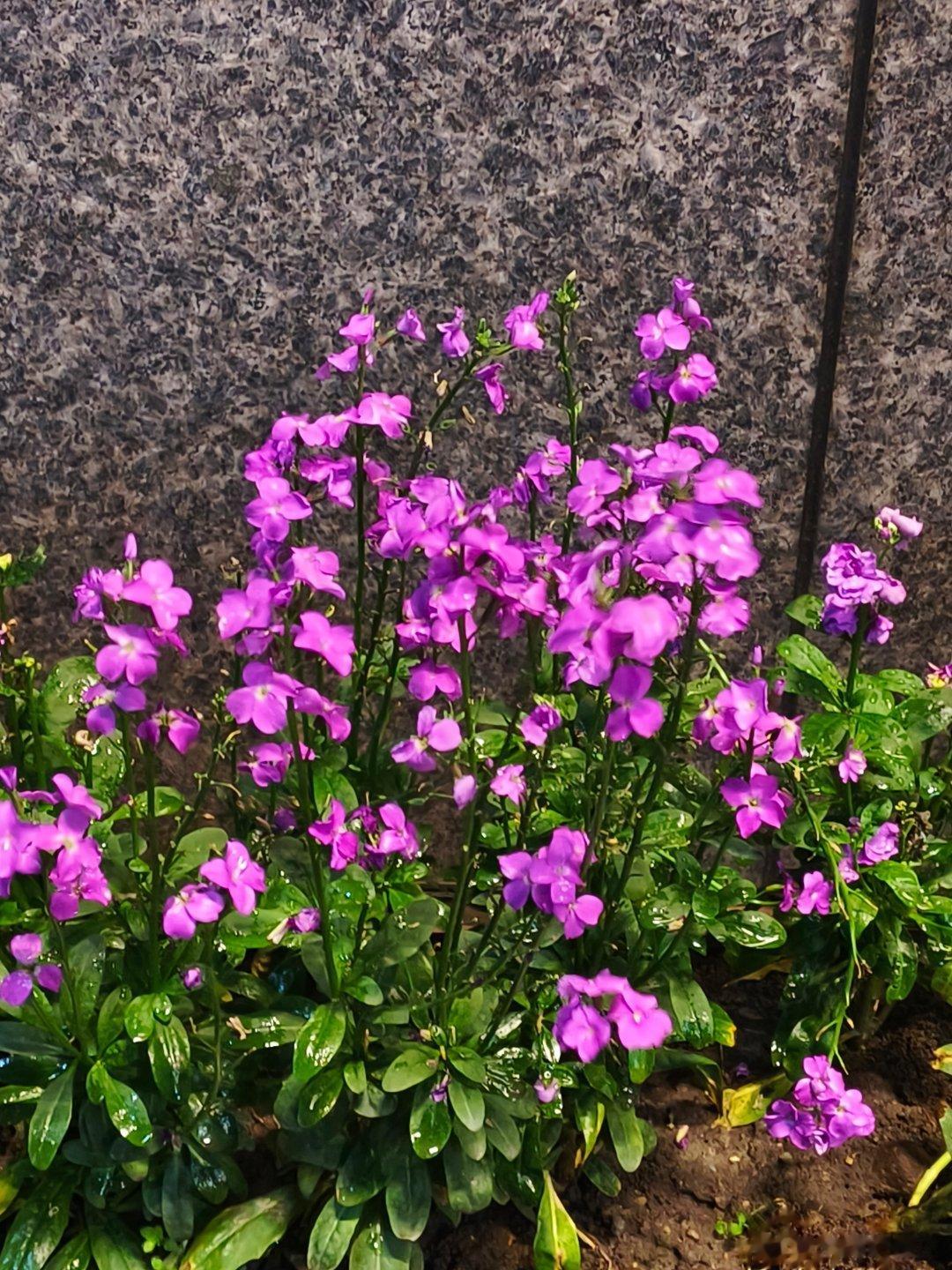 跌宕起伏，潮涨潮落，巅峰之后，便是低谷，人生也是这样，要劳逸结合，张弛有度。大家