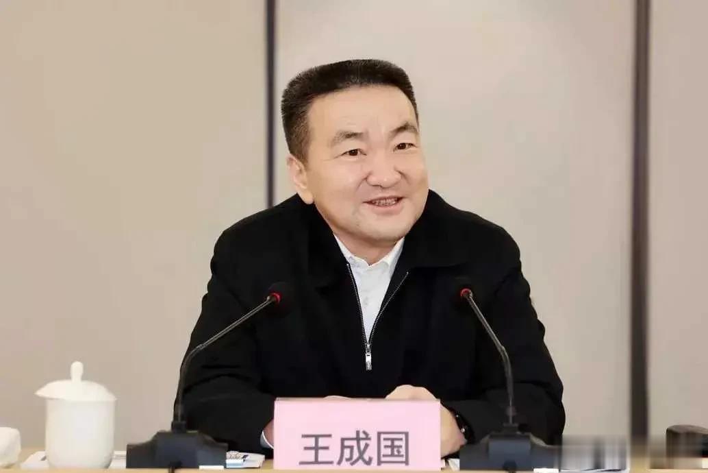 3月31日，王成国辞去浙江省副省长职务！