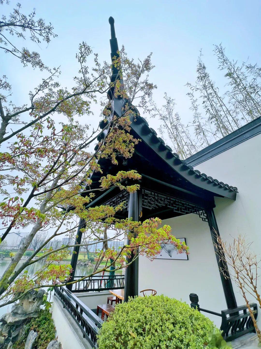 春三月，所谓发陈。意思是春天会把去年地下储藏的能量生发出来。人顺应这个规律，就是