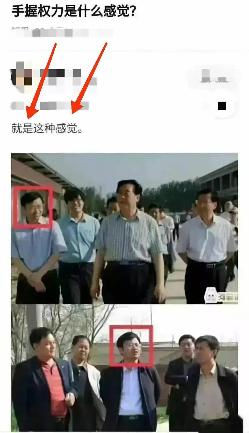 下图说明“任何事物都是相对的”，人也是如此。“青涩”，如果换个环境也许你就变“成