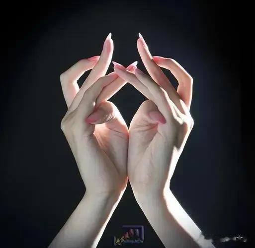  
手如柔荑是佳人
肩担道义做硬汉