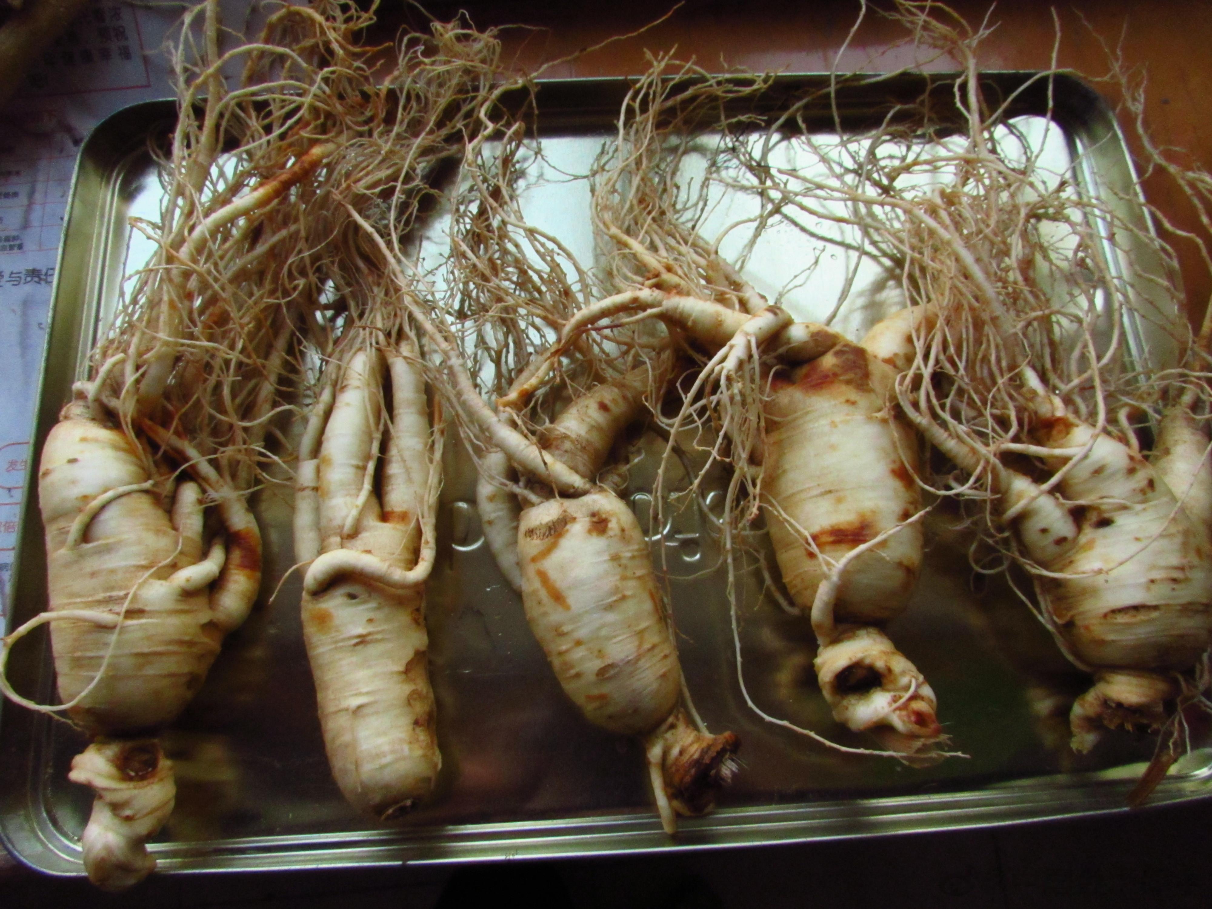 形气，食味，大自然的馈赠。1，人参。2，黄芪。3，阿胶,。4鹿角胶。 ​​​