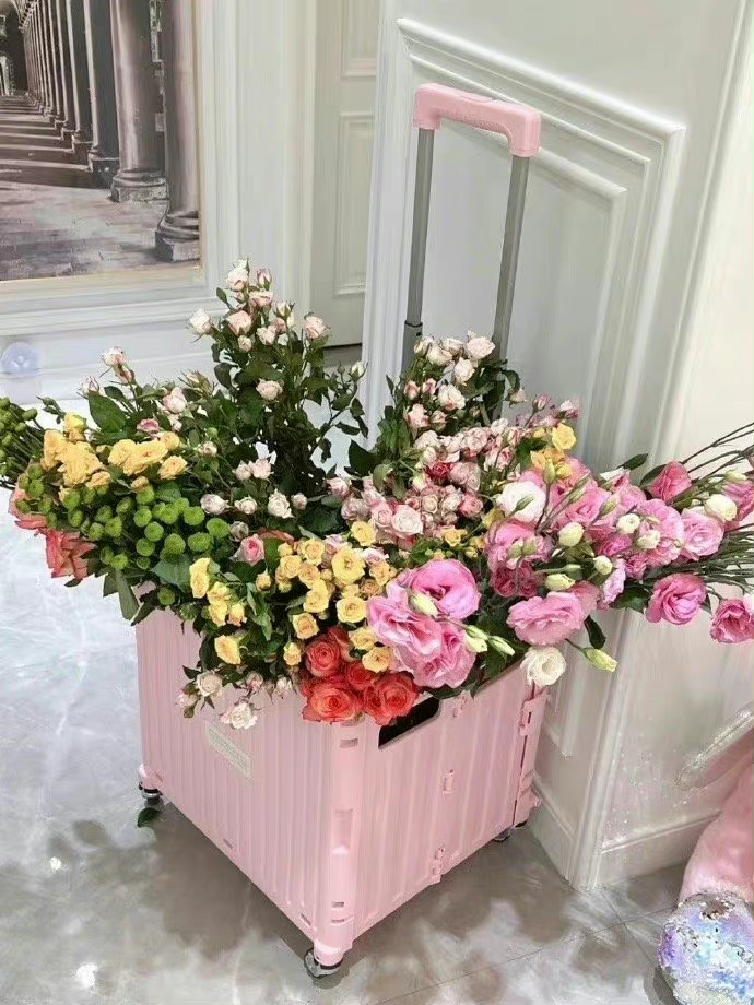  说话就说话，别大声，我怕狗。 ​​​