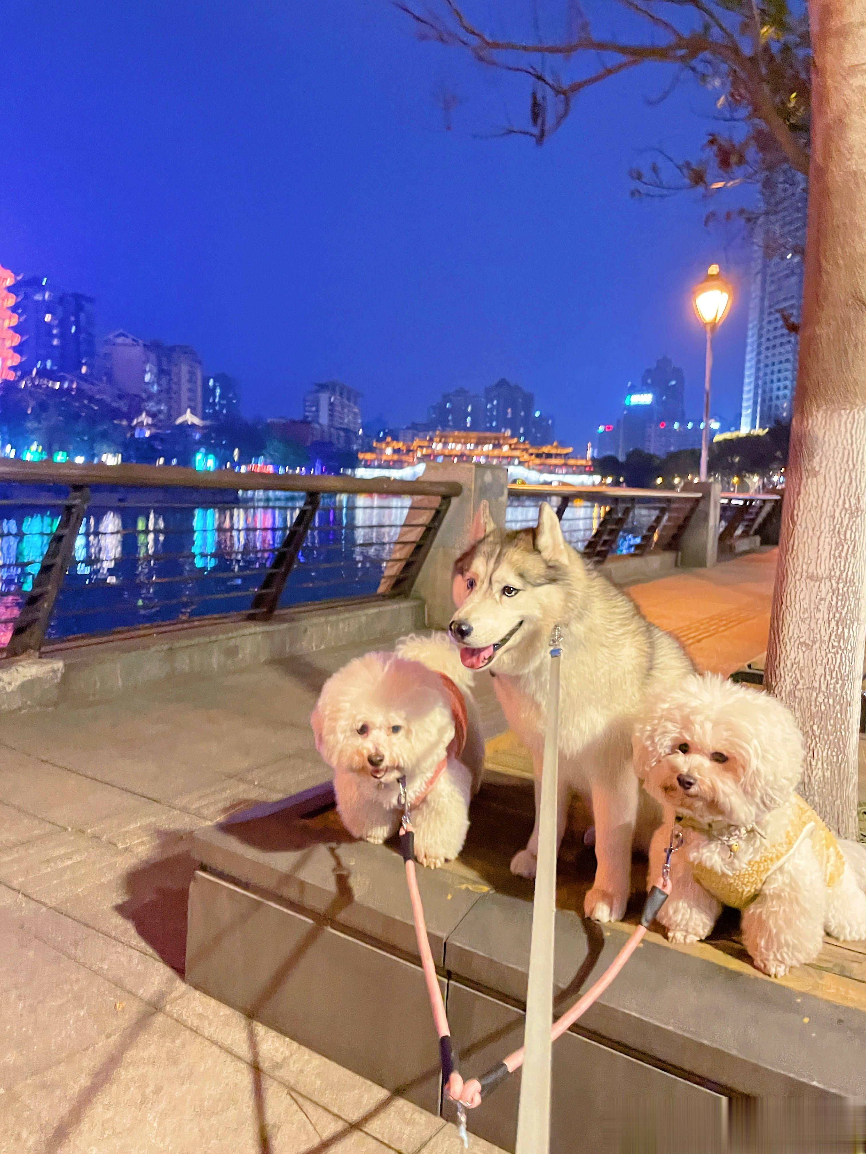  一些不情不愿的游客照 ​​​