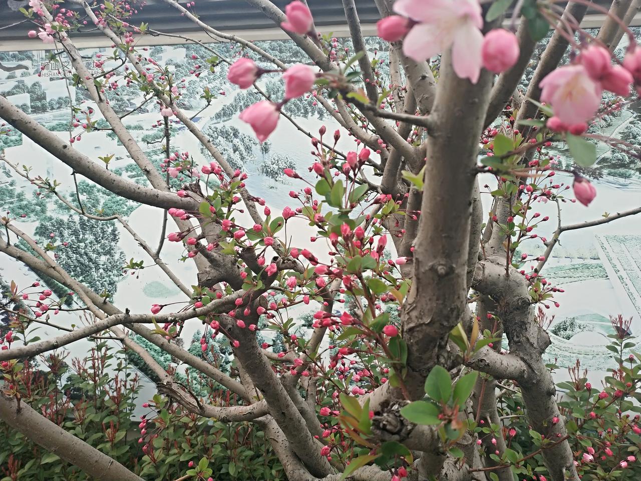 苏州还是一个比较有底蕴的城市，春天来了的时候，适合来这里驻一下足，天地在外面，故
