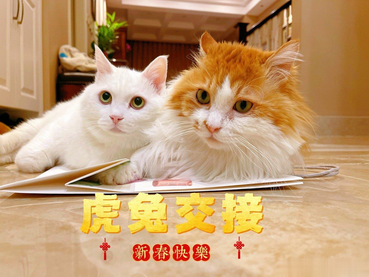 我家的交接工作已准备就绪祝姨姨