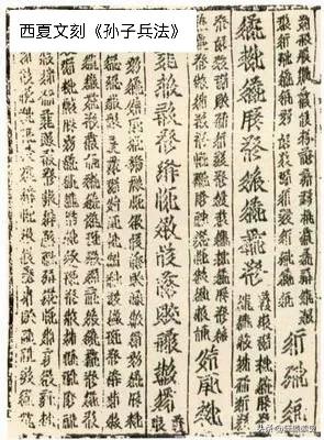 神秘的西夏文字，神秘的西夏王国。

元朝灭西夏后并没有修西夏史，所以二十四史中并