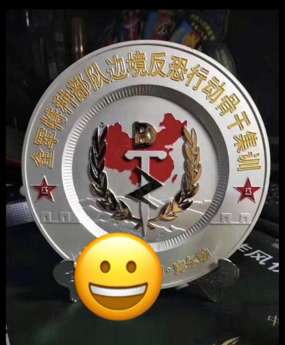 这个徽章设计的不错。。跨境反恐任务。 ​​​