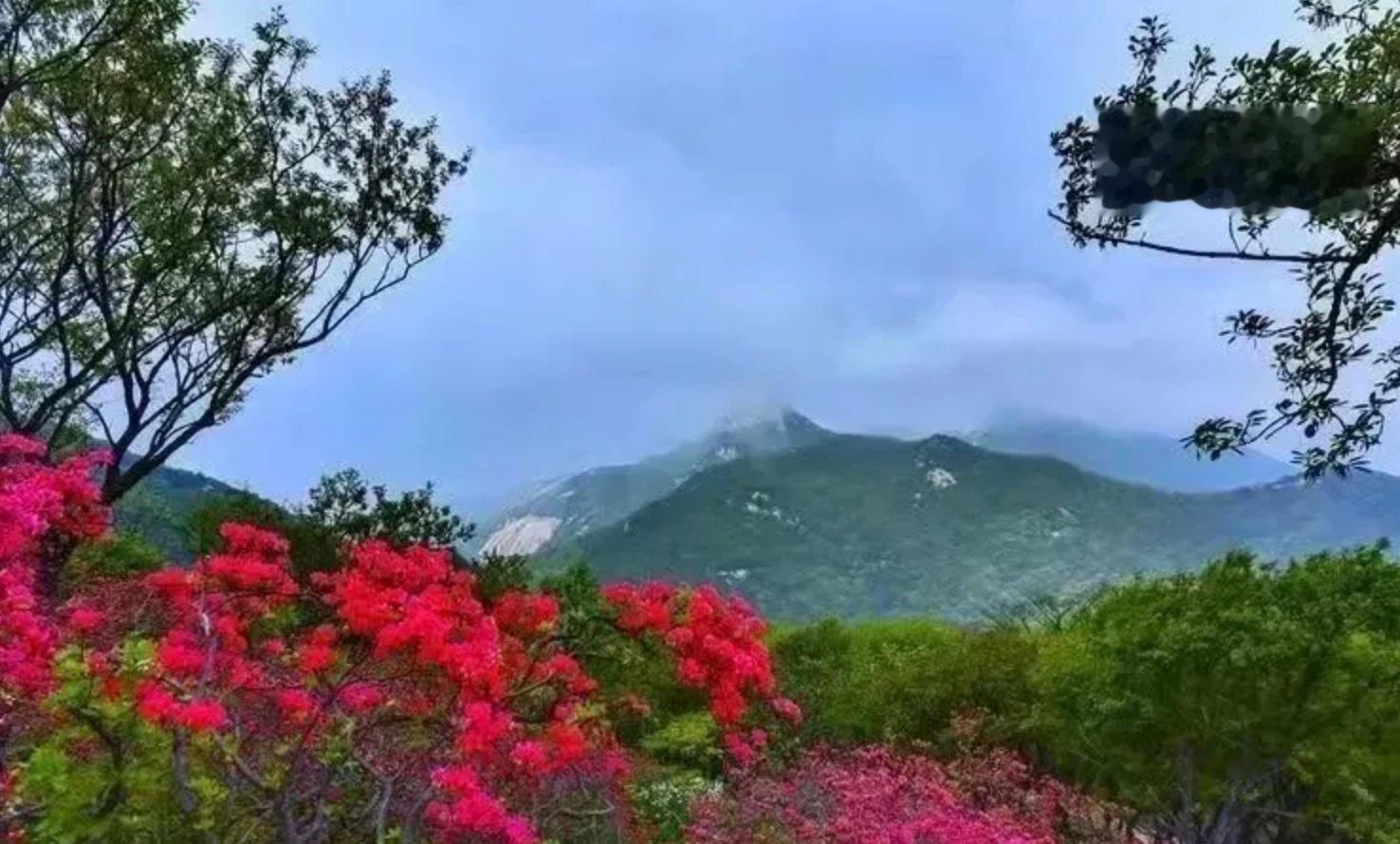 【桐柏山神】纪晓岚先生自述——姜白岩说：有个士人在桐柏山中行走，碰到一伙人，仪仗