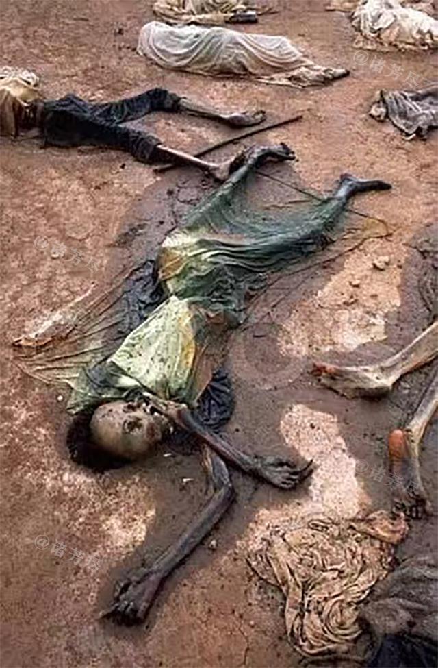 1994年，卢旺达爆发种族大屠杀，短短两个月内，近100万人惨死。谁能想到，在二