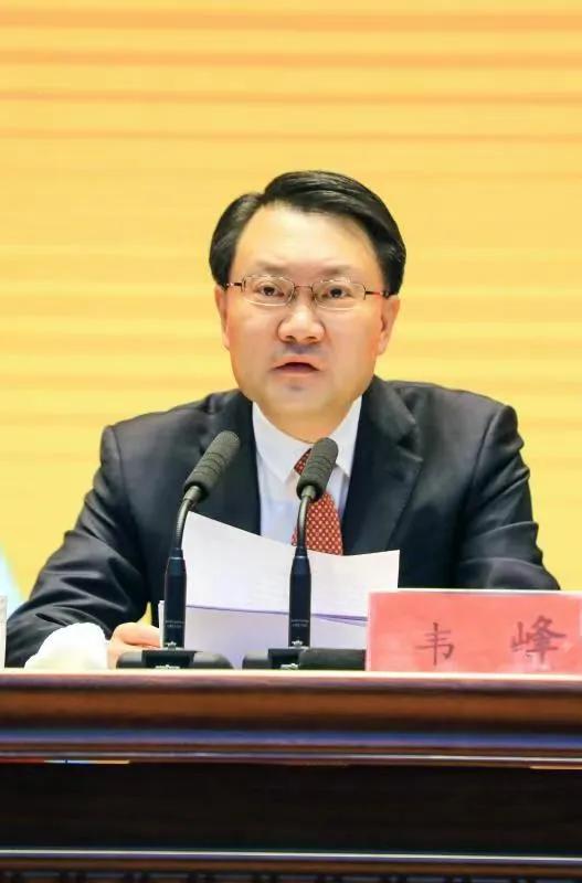 免除韦峰副市长职务是组织处理，