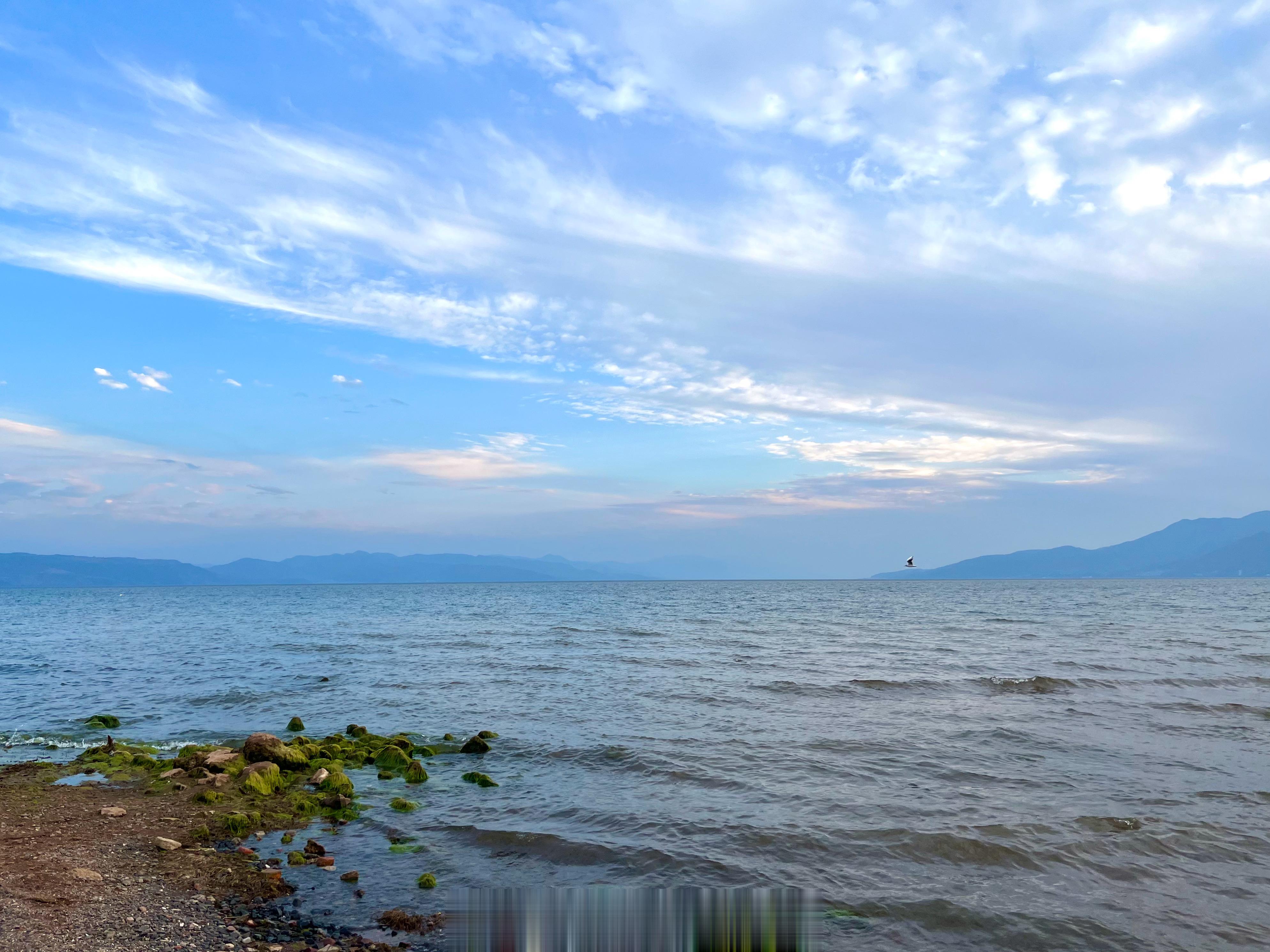 【绚丽多彩#云南抚海湾的浪漫鱼鳞云晚霞# 】云南玉溪澄江抚仙湖抚海湾上空出现鱼鳞