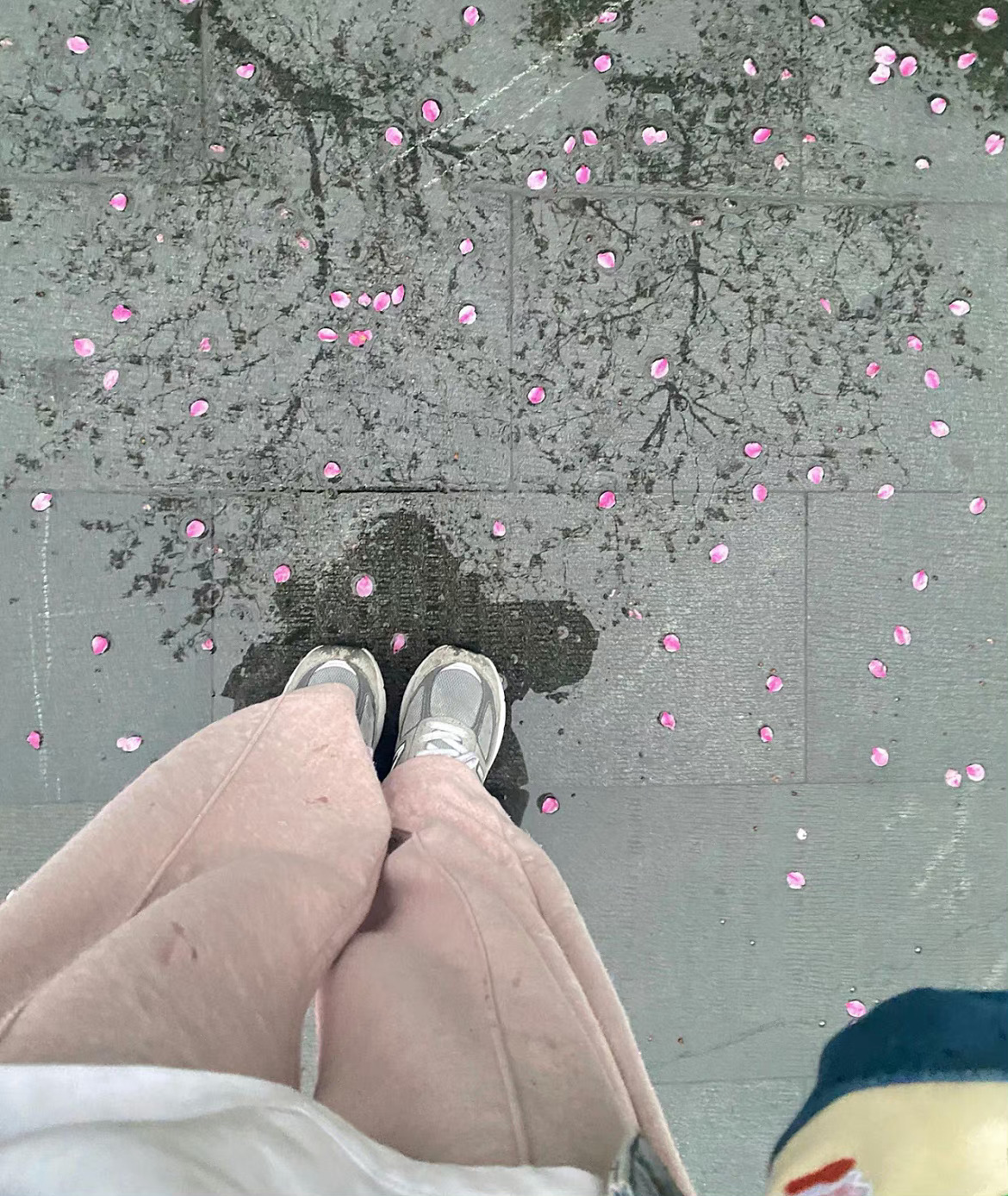  朋友们早上好，不好也行，随便你 ​​​