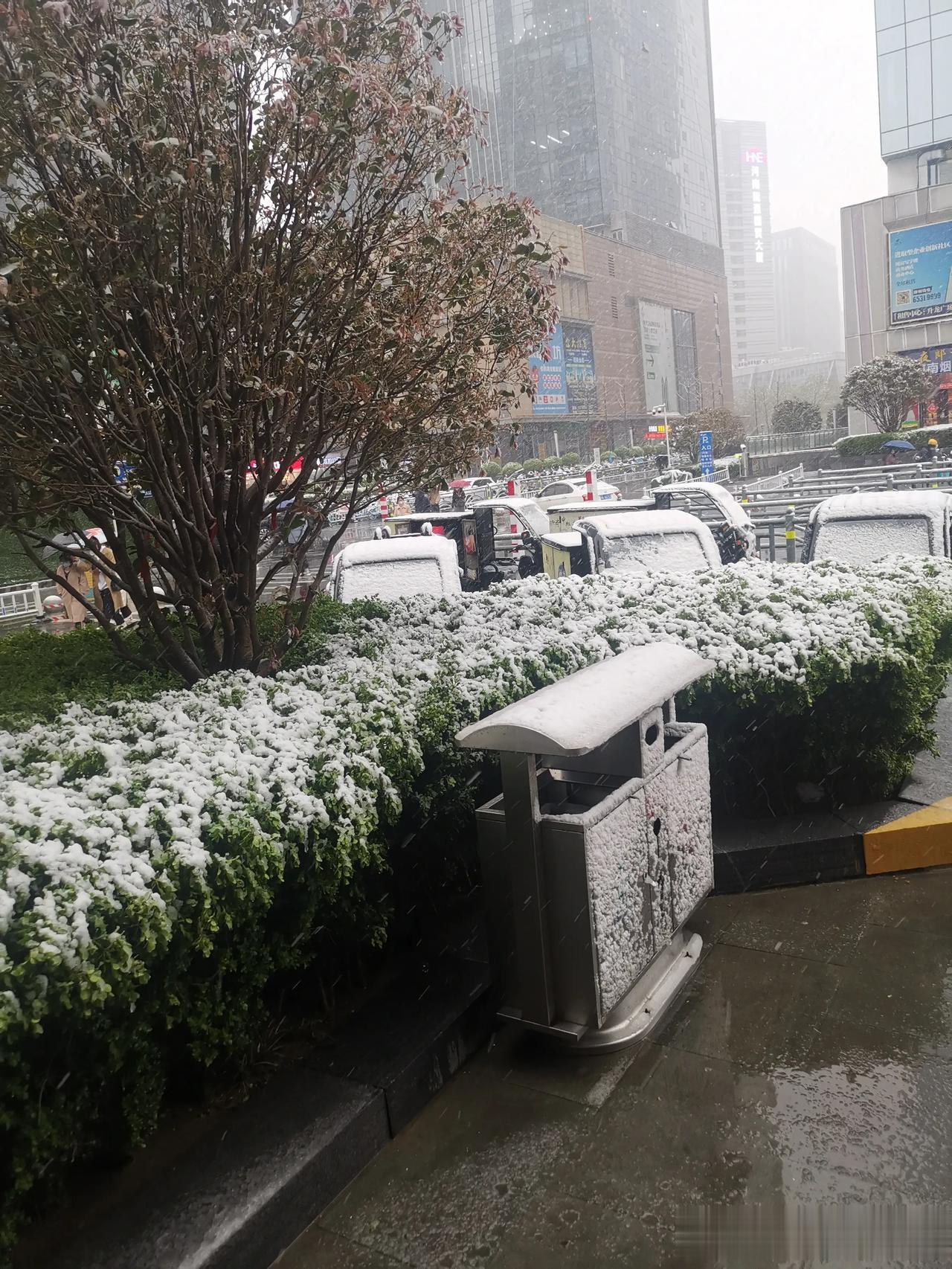 卧槽，郑州竟然下雪了[我想静静][我想静静][我想静静][我想静静]
