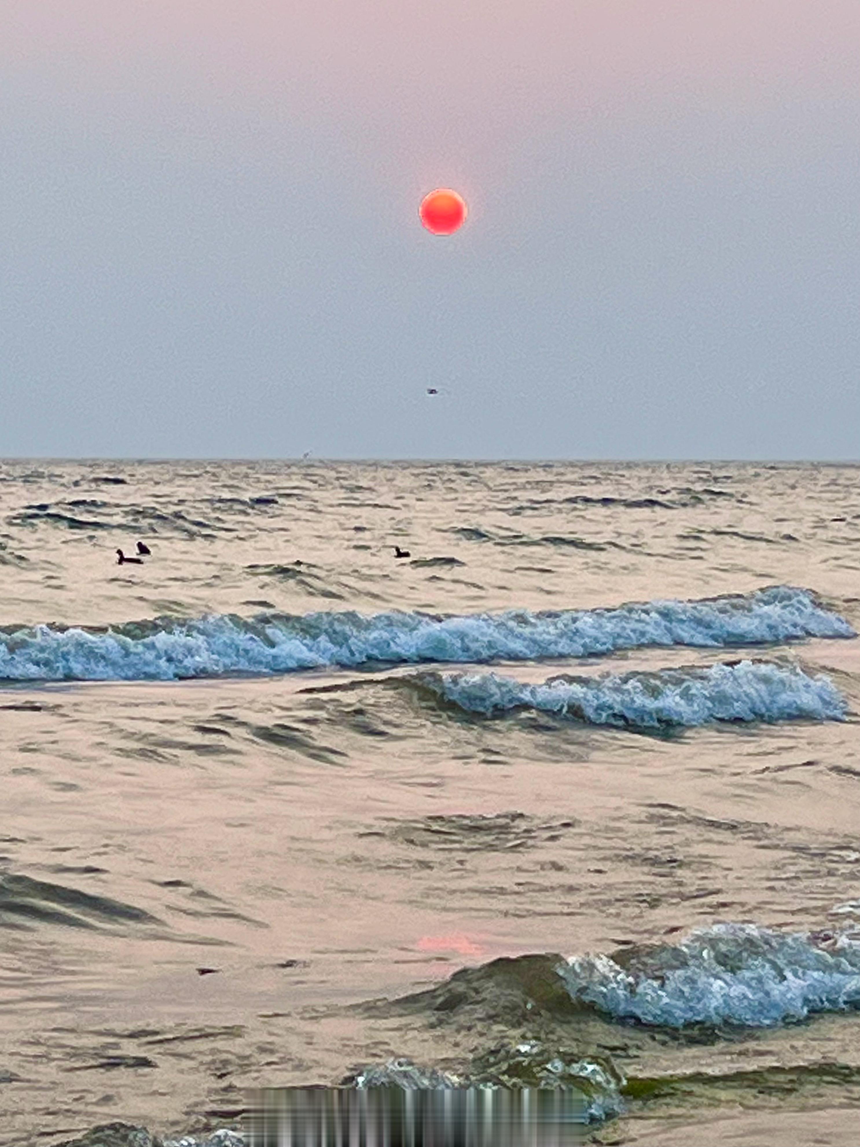 【美妙旋律#抚仙湖月亮湾晚霞与海鸥浪漫齐飞# 】夕阳红彤彤的，晚霞余晖照耀下的抚