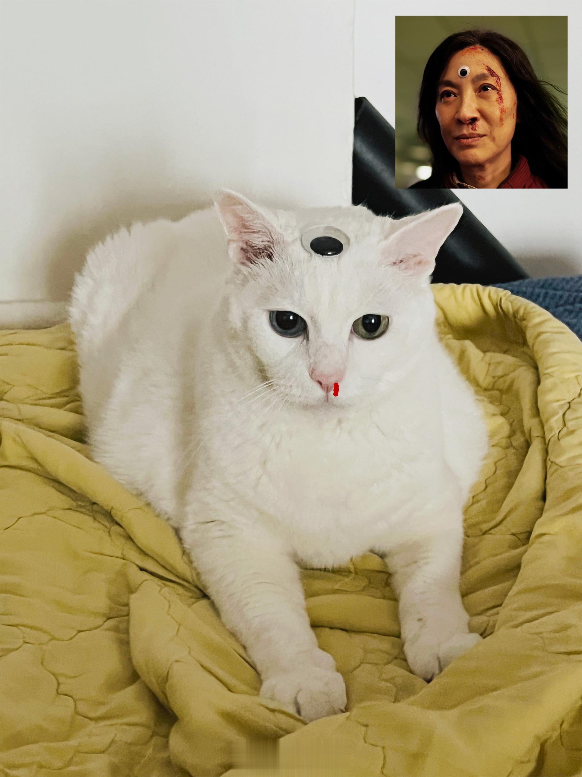 重啟第三隻眼～吉的多重宇宙。 ​​​